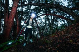 BIB: 
                            <button type="button" onclick="openModal(26342697)" class="btn btn-primary btn-sm float-right btn-popup" data-toggle="modal" data-target=".modal-high-quality">
                        <i class="fas fa-shopping-cart"></i> Add to Cart
                    </button>
                                            <button type="button" onclick="isThisMe(26342697, true)" class="btn btn-success btn-sm float-right btn-popup btn-isme hidden" data-toggle="tooltip" data-placement="bottom" title="นี่คือรูปของคุณใช่ไหม คลิกที่นี่เพื่อเอาเข้าอัลบั้ม">
                        <i class="fas fa-plus"></i> Add to album
                    </button>
                    <button type="button" onclick="isThisMe(26342697, false)" class="btn btn-warning btn-sm float-right btn-popup btn-isnotme hidden">
                        <i class="fas fa-ban"></i> Remove from album
                    </button>